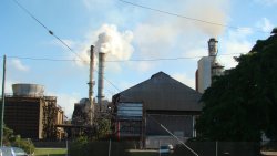 Sugar mill chimneys