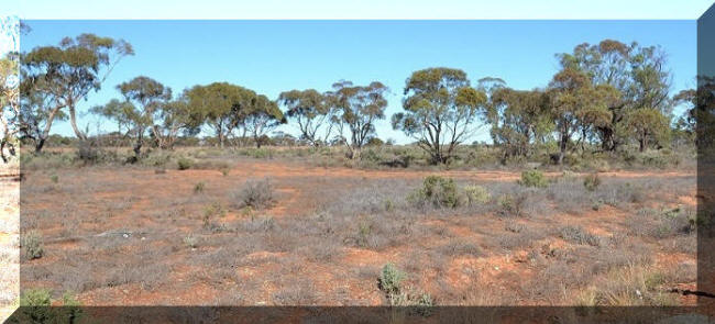 The outback landscape