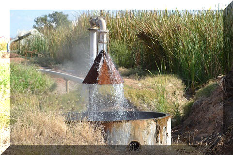 Bloody hot water