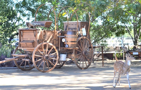 Chuck wagon