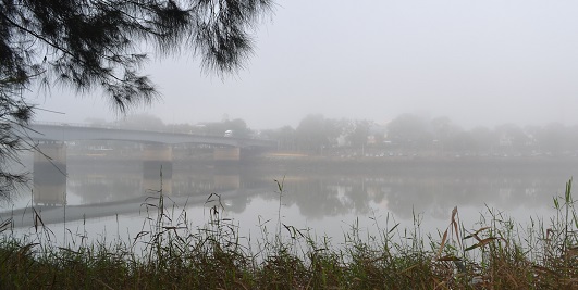 Fog in Rocky