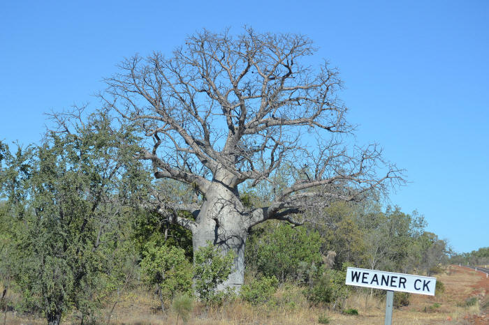 Weaner creek sign