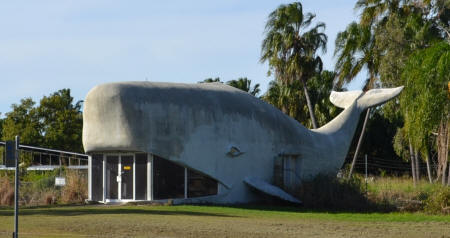 Whale house