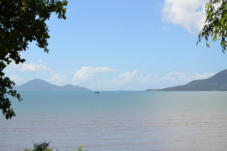 cardwell ocean view