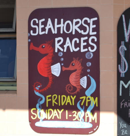 What's a seahorse