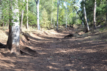 Dried up river beds