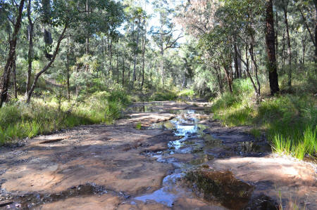 Crook roads