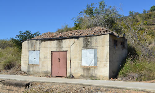 Not quite a "thatched roof"