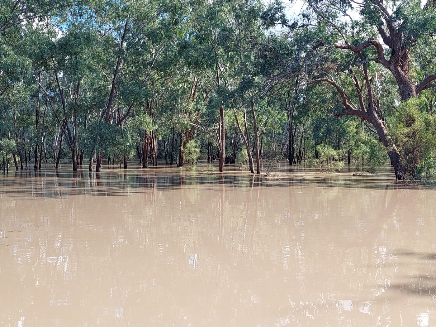 Taroom township