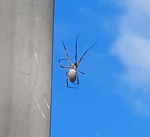 The weather in QLD is ideal for growing things